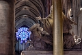 Notre Dame_09